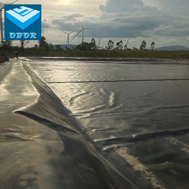 OBOR HDPE геомембрана подкладка для пруда геомембраны Биогазового гристера из Таиланда