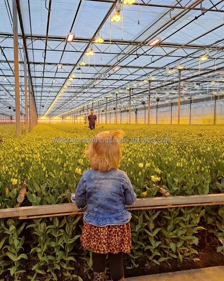 multi span plastic agricultural greenhouse with hydroponic system wide span greenhouse for strawberry growing