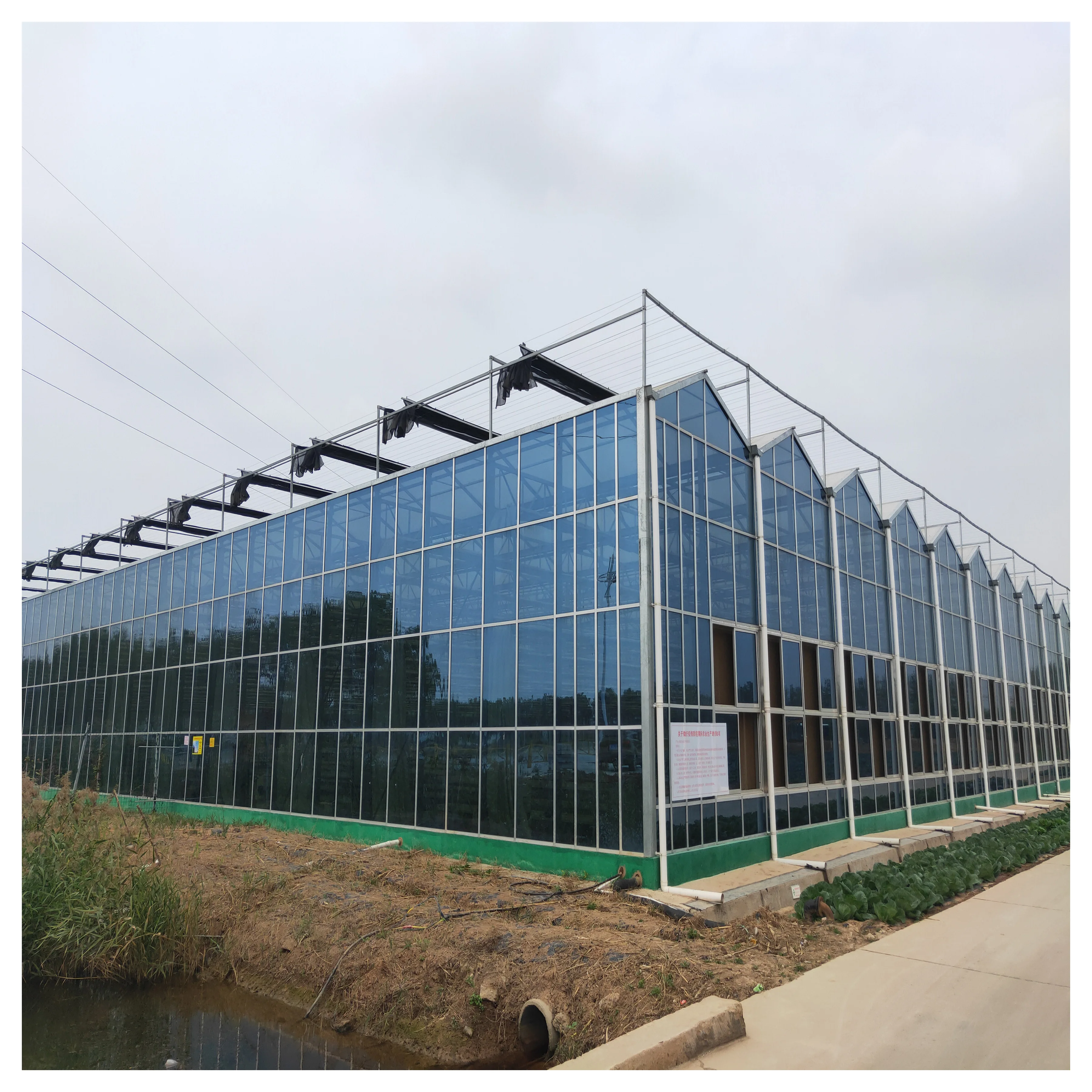 Automated Intelligent Greenhouse /ecological Glass Greenhouse