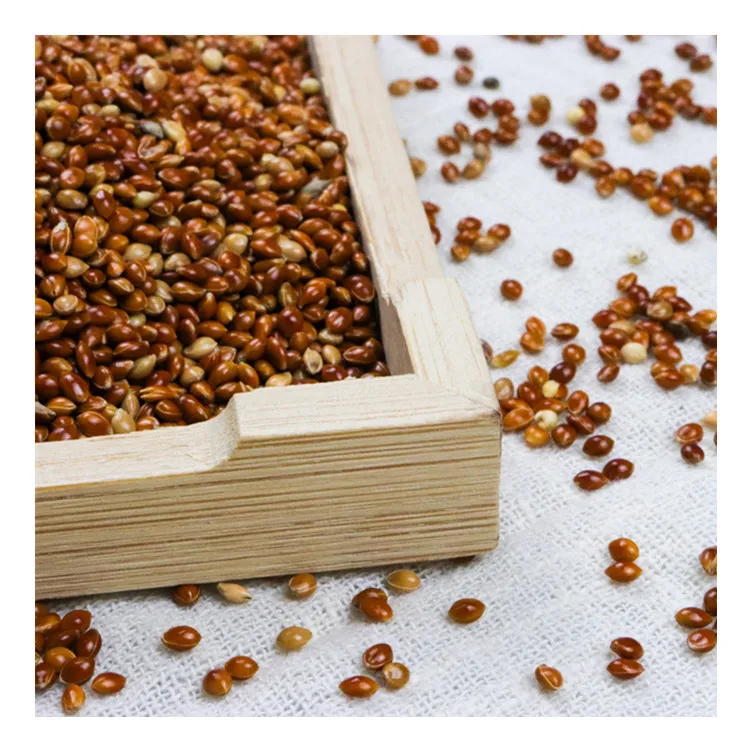 
2021 New Millet Seed broomcorn Millet Grain Red Millet For Bird 