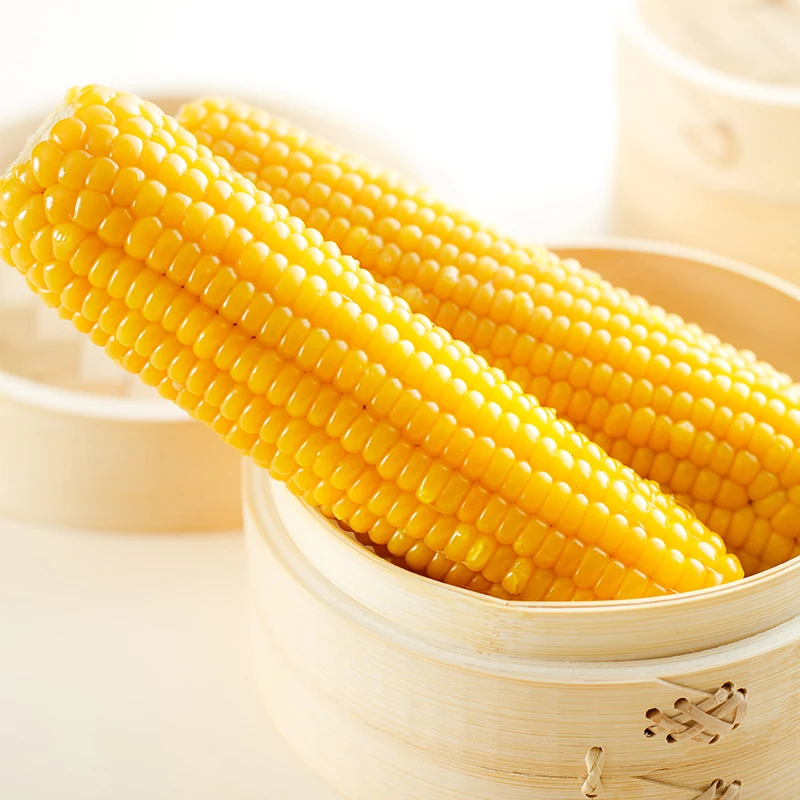 Fresh No-GMO yellow waxy  corn in vacuum packaging