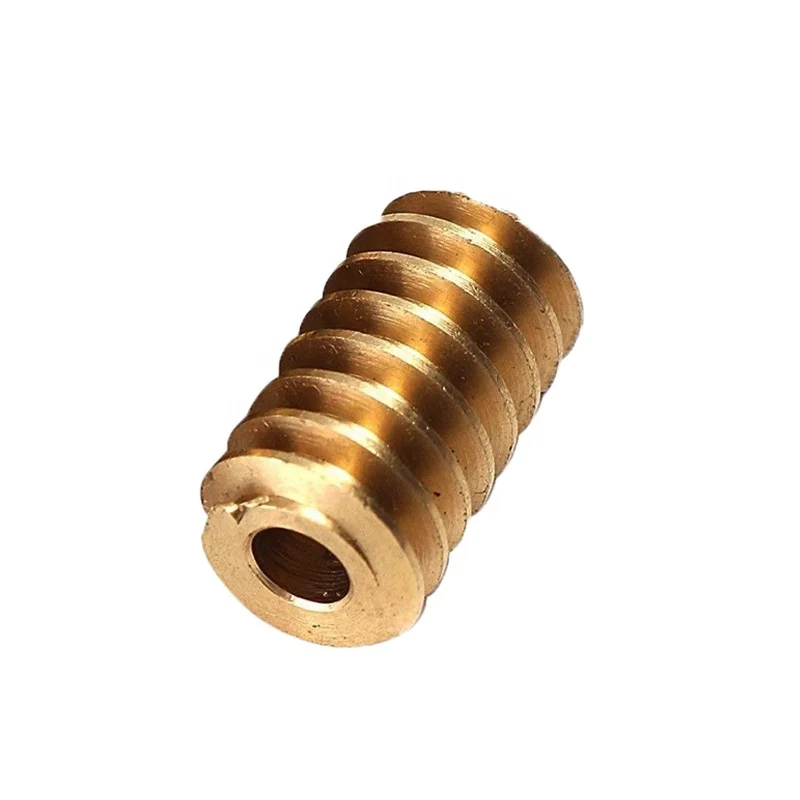 Precision Spur Small Brass Worm Gear