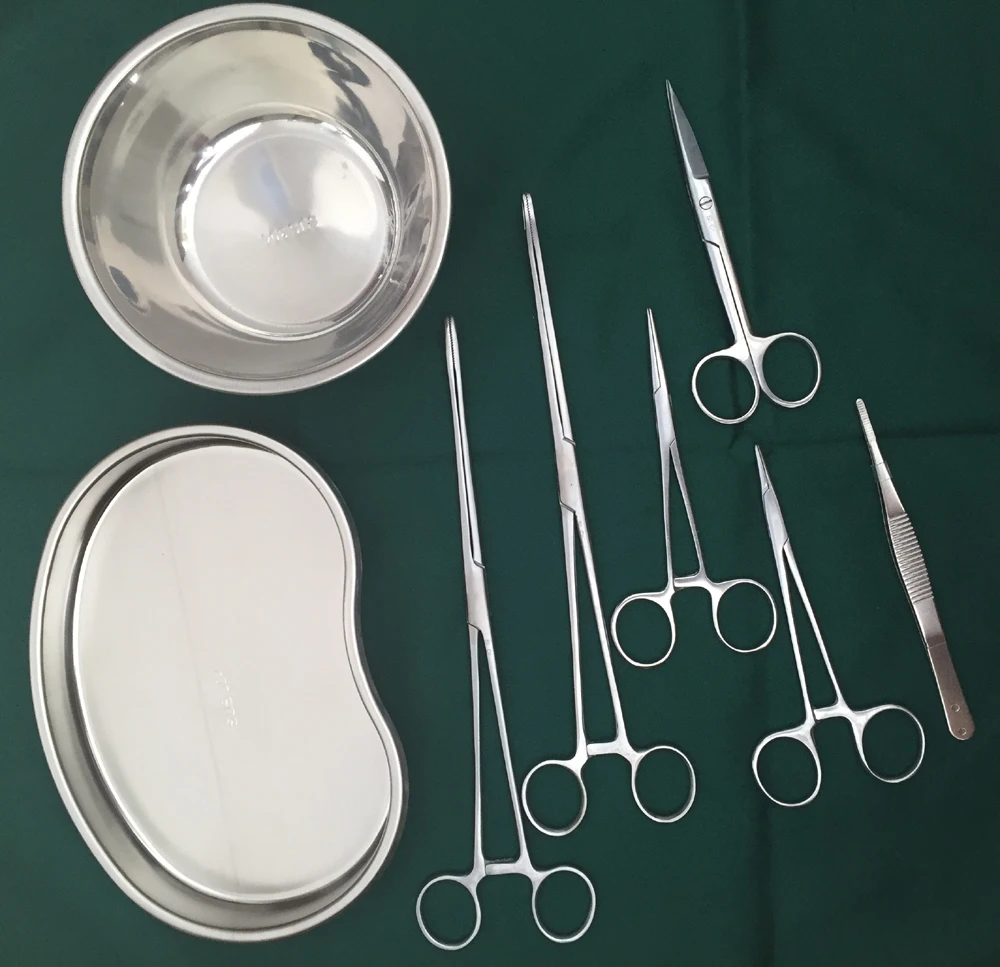 Surgical delivery set