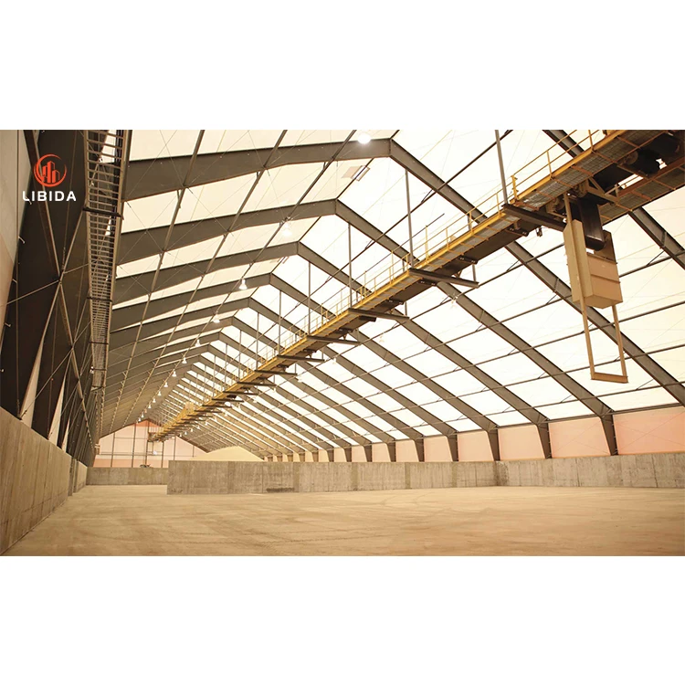 China Light Steel Frame Building Airplane Hangar with Certification