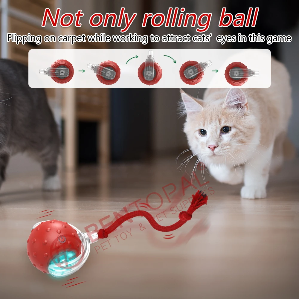 New Design Interactive Smart Cat Toy With Tail Accessories Fast Rolling on Carpet Chirping & Motion Activate Cat Toys