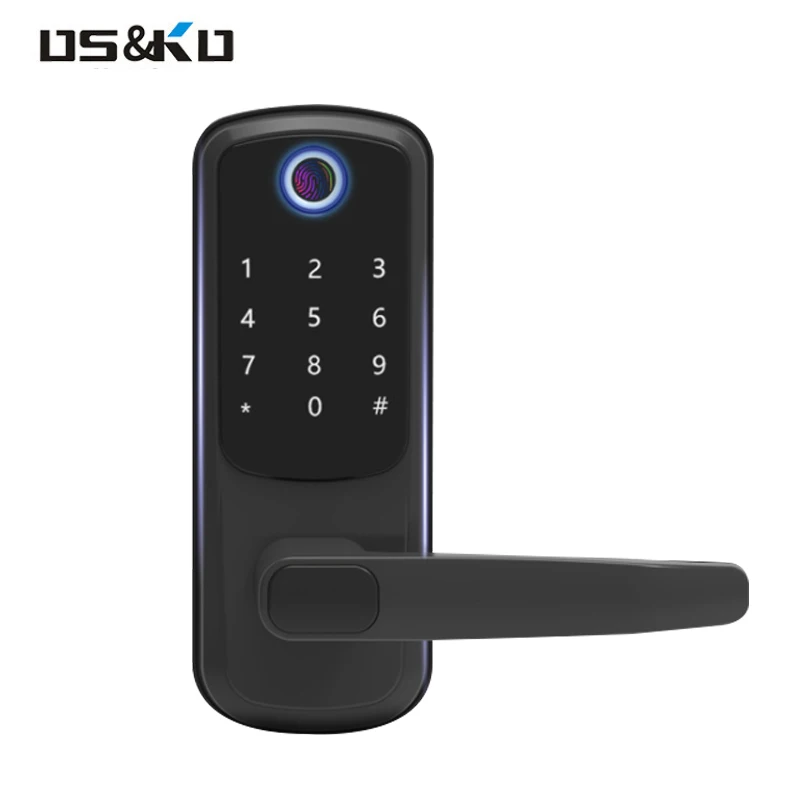 Wi-Fi-подключение tuya smart life app bt ttlock pin-система цилиндрический БЕСКЛЮЧЕВОЙ домашний дверной электронный
