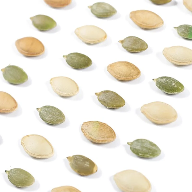 High Quality Hybrid Pumpkin Seeds Chinese Vegetable Seeds For Growing-ham Pumpkin