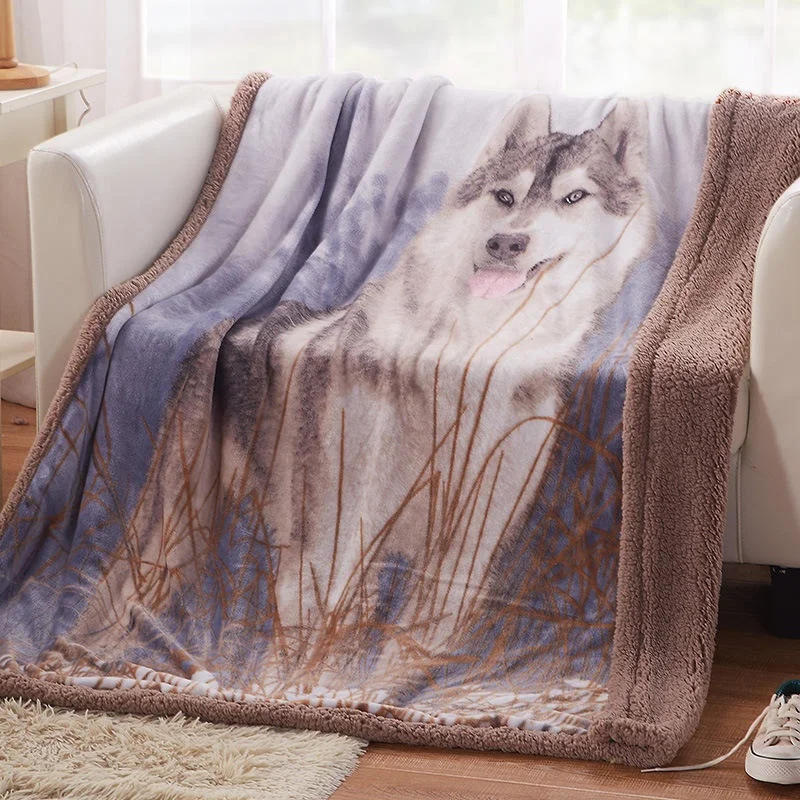 Wholesale Sofa Cute Animal Blanket Fleece Double Thickened Home Office Nap Sherpa Blankets