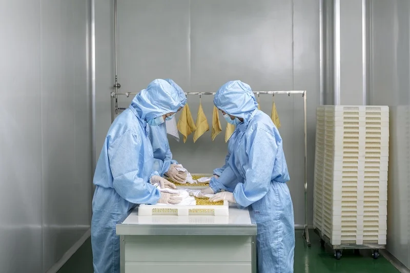 Factory direct WHITENING Vitamin Collagen softgel capsules Lightens and Evens skin tone softgel