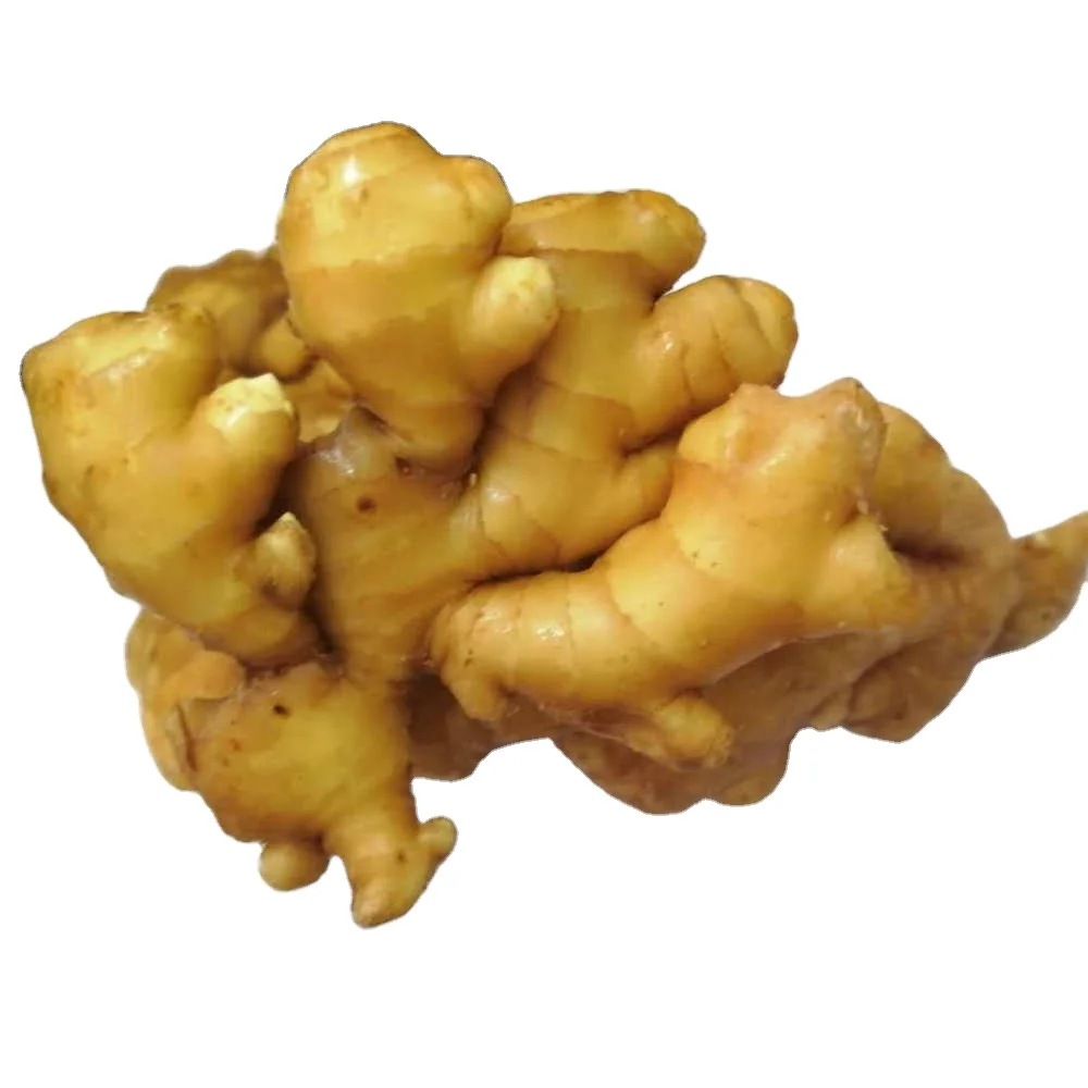fresh ginger  yellow ginger from china