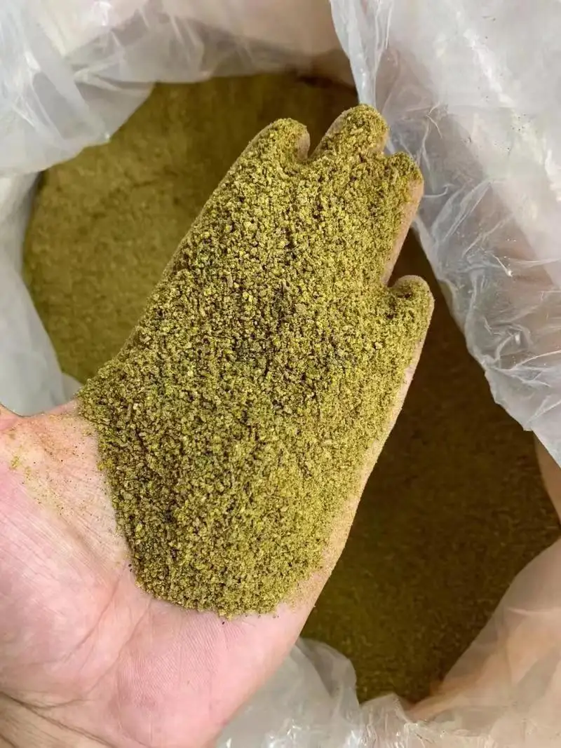 Low Priced Cumin Seed Powder Spicy Food Seasoning Herb ISO Certified Granule Pattern Raw Dried Process
