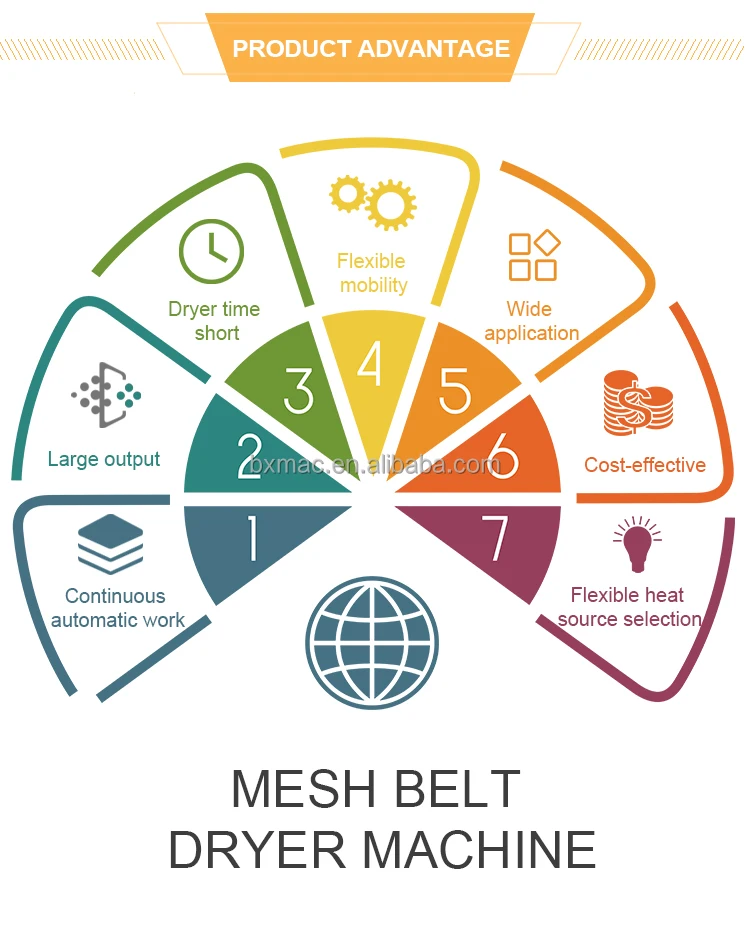 belt-dryer_15.jpg