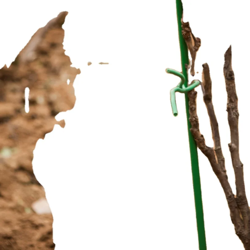 waterproof stretchable plastic SOFT TPR plant tie tape garden grape support