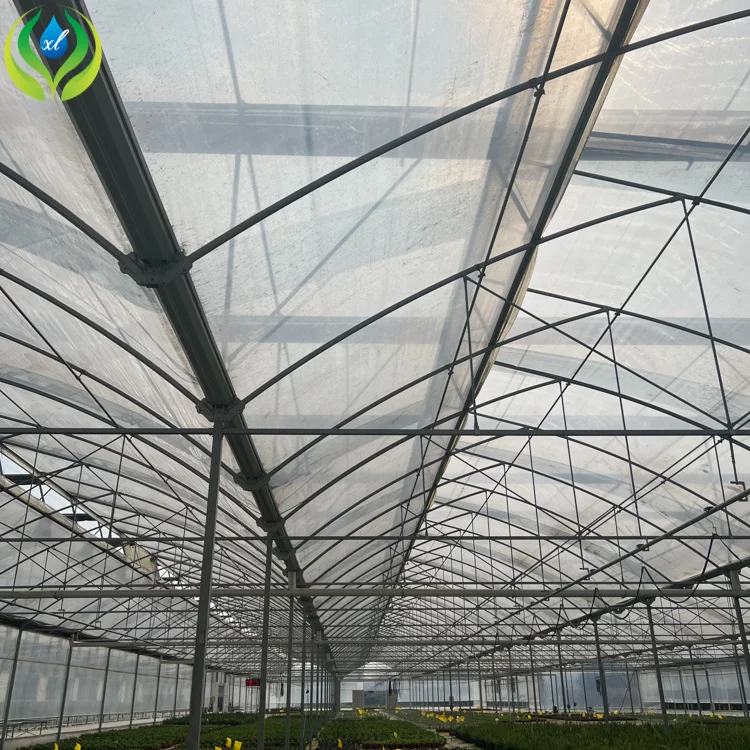 MYXL Economic Double Pe Po Film Multi Span Green House For Plants