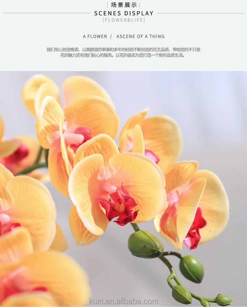 Blood Real Touch Faux Plant Oncidium red lips Silk Latex Stems Cymbidium Phalaenopsis Artificial Flowers Pots Orchid Arrangement