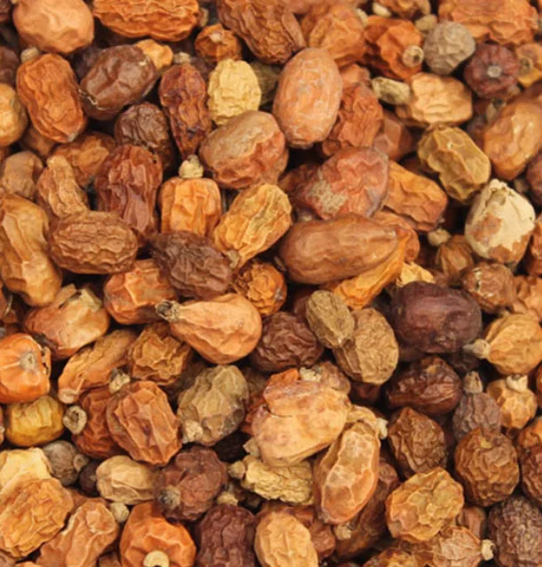 Bulk cheap price Red Chinese raw spice Galanga Galangal fruits for sale