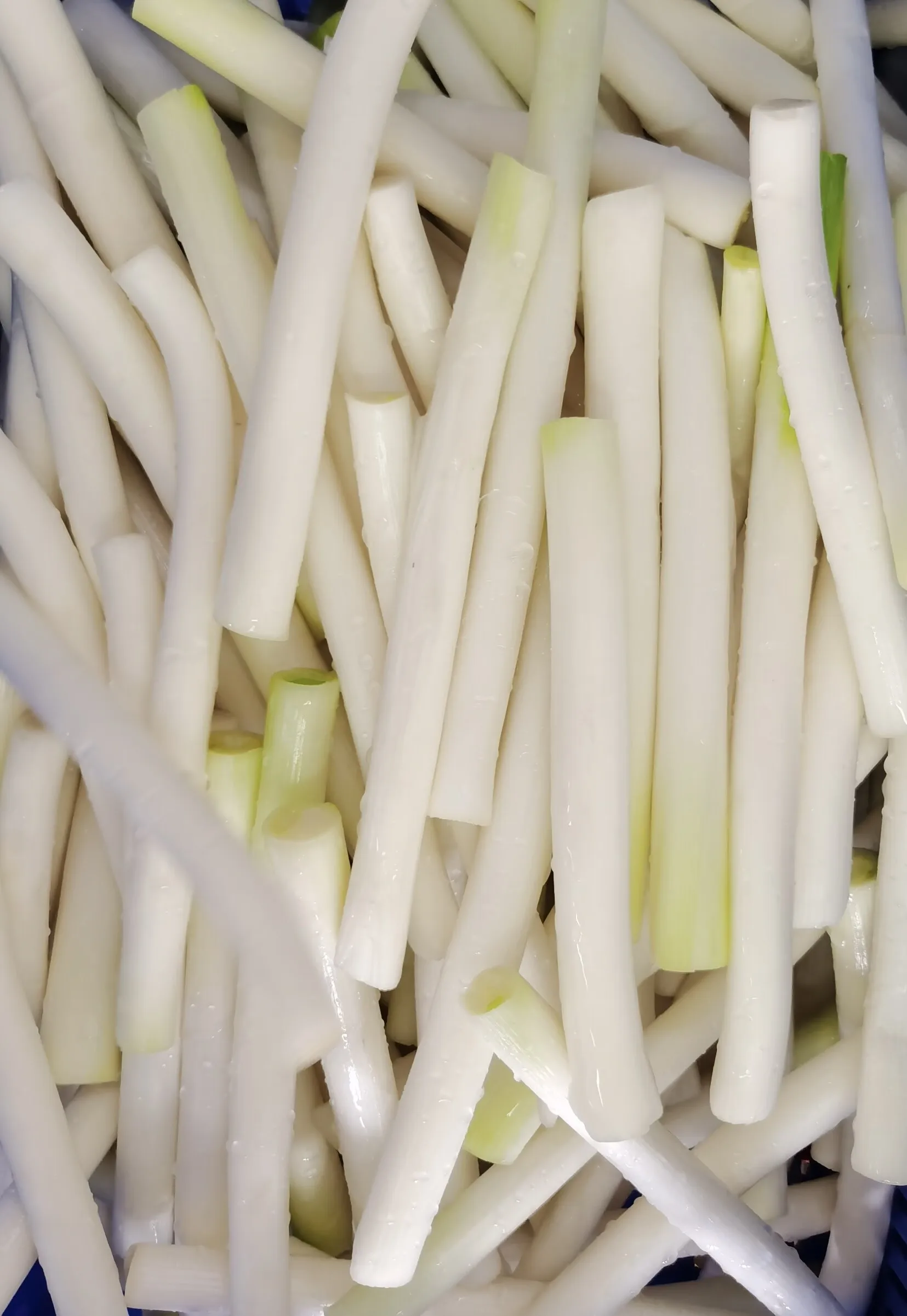 Hot Sell Frozen Vegetable Food Spring Onion Cut Green Onion High Quality With Cheap Price New Crop Shape Customization 100% Good