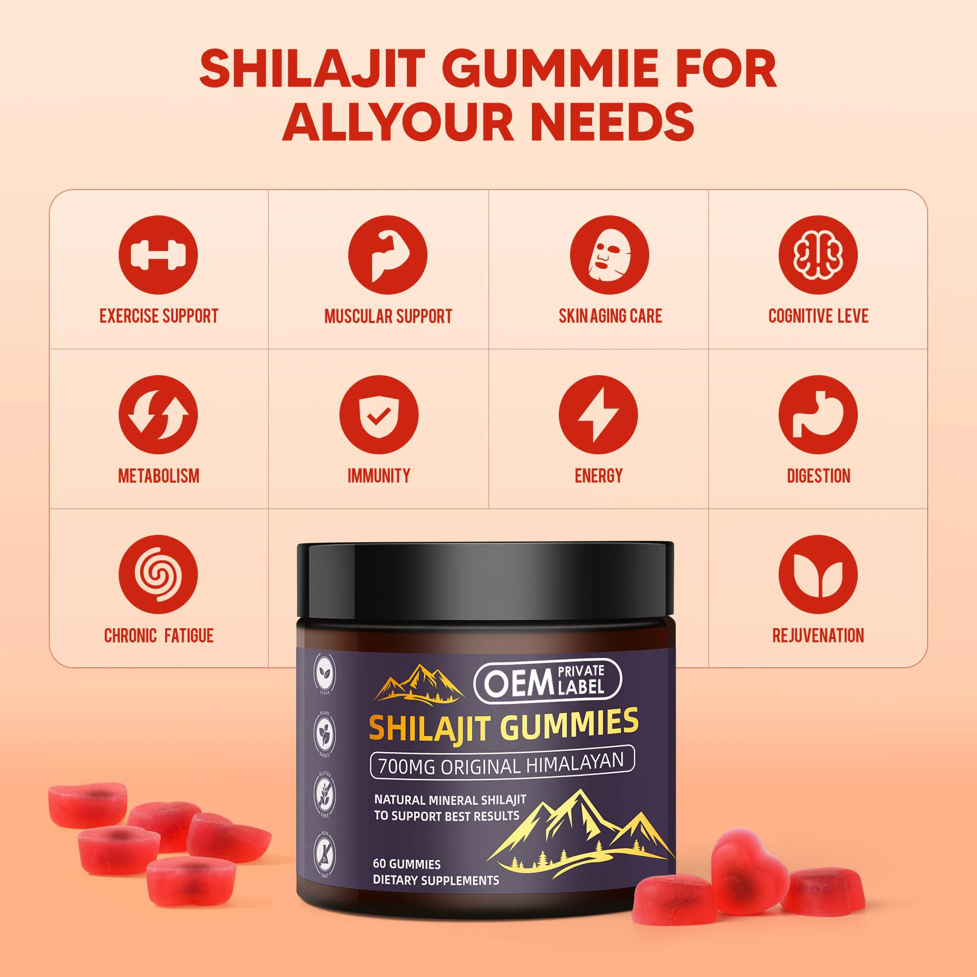 OEM Organic Pure Shilajit Resin Extract Gummies Himalayan Shilajit Vitamins Brain Supplement Nootropic Gummy