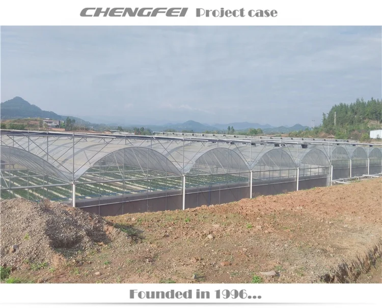 Customizable size Agricultural Low Cost Plastic Film Covered Sawtooth Greenhouse