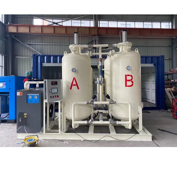 CNCD Psa Oxygen Generator Free Energy Generator With Freeze Dryer For Industrial Use