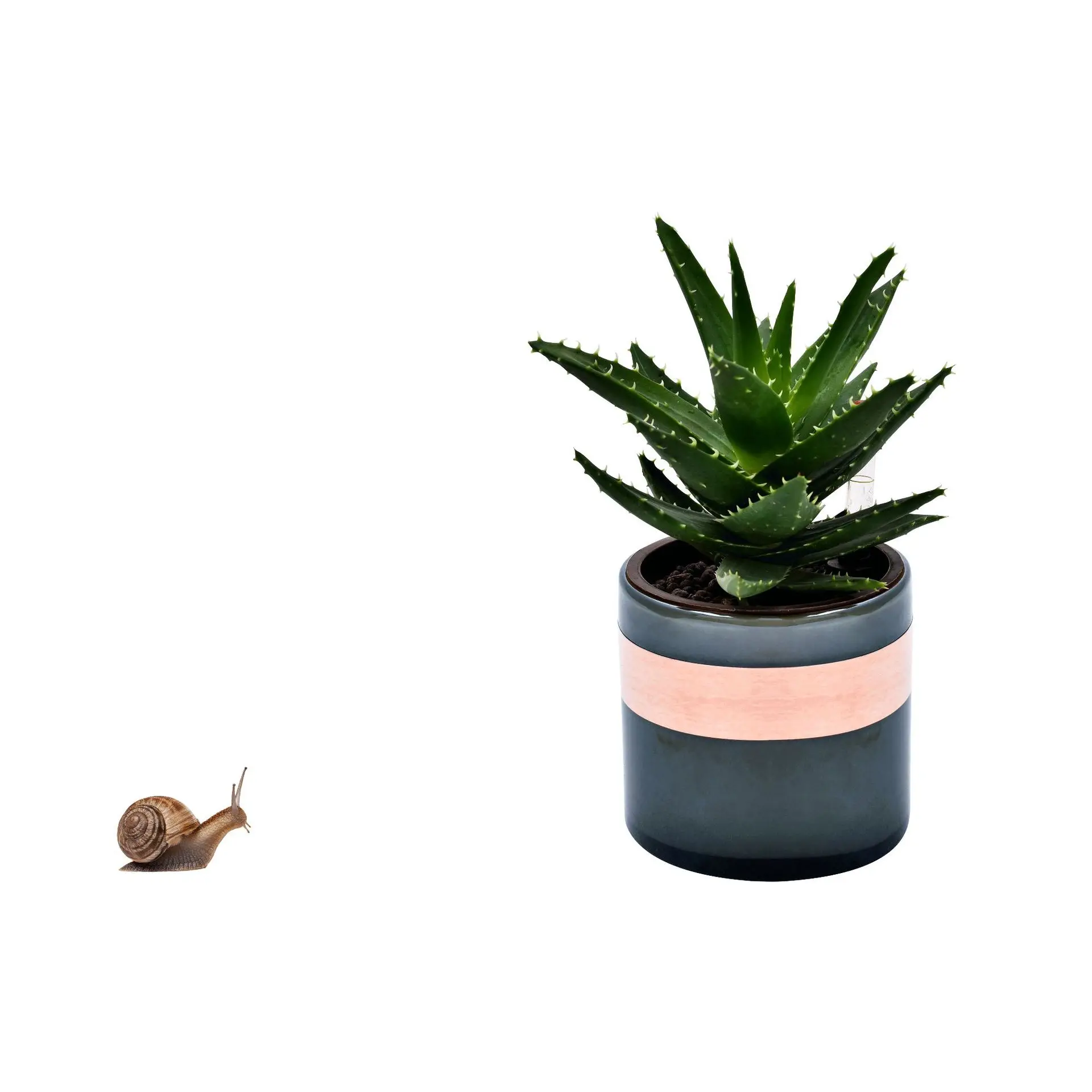 
Hot Sale Garden Conductive Copper Foil Tape Anti For Slug And Snail Barrier Defenders 