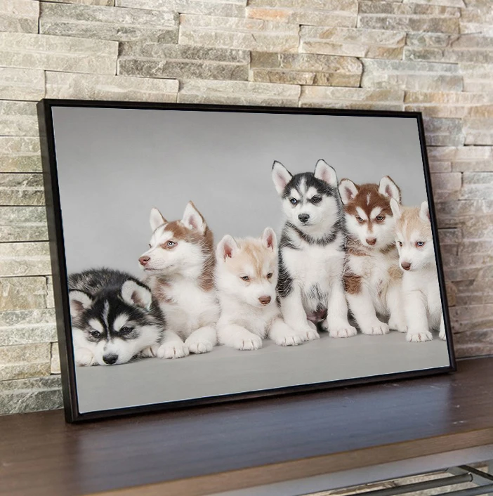 
Handmade Art Painting Dog Cross Stitch Mosaic 5d Diy Crystal Diamond Painting Full Drill 