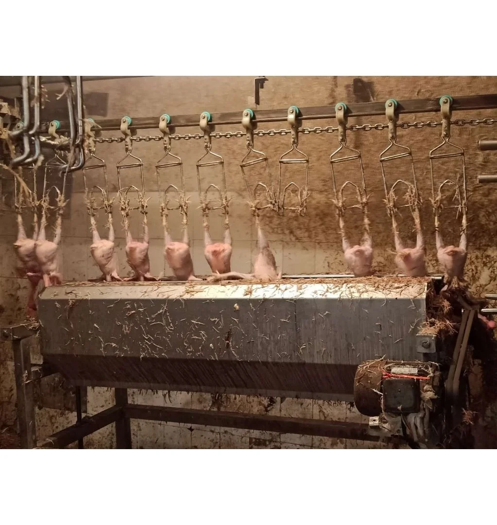 Все оборудование для забоя птицы из нержавеющей стали 304 для цыплят и уток