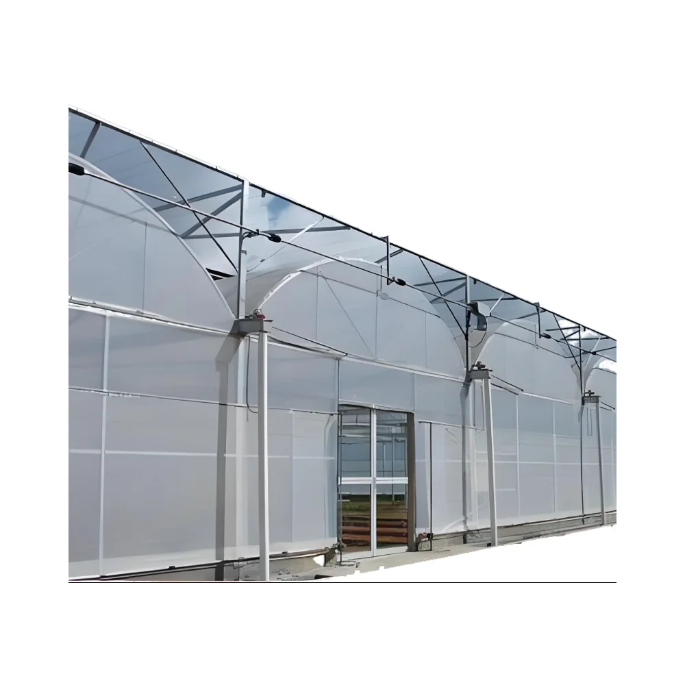 Large Agricultural Multi-Span Greenhouse with Double PE Layer Square Pattern Steel Frame at Low Price