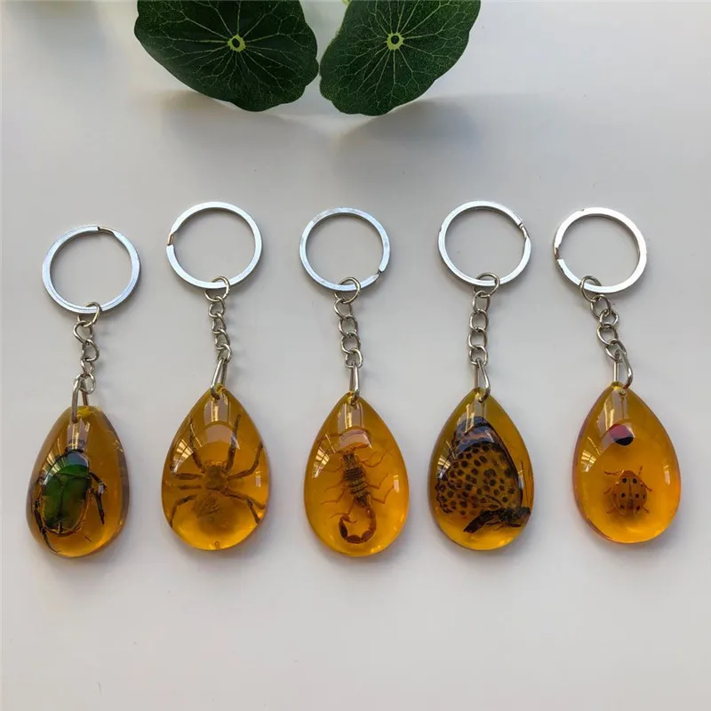 New real insect specimen hornet amber car bag pendant small gift crystal keychain