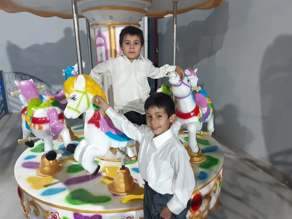 Luxury Kids Merry Go Round Double Deck Carousel Amusement Park Equipment Carousel Ride for Kids