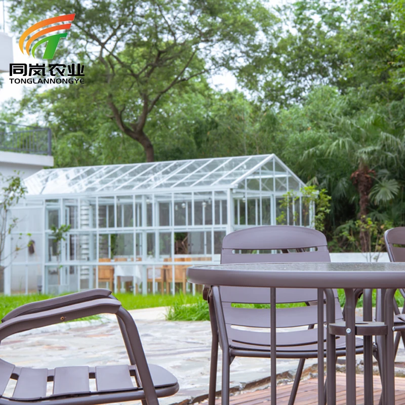 Wholesale Custom Portable Mini Plastic Garden Greenhouse Green House Small Other Greenhouse