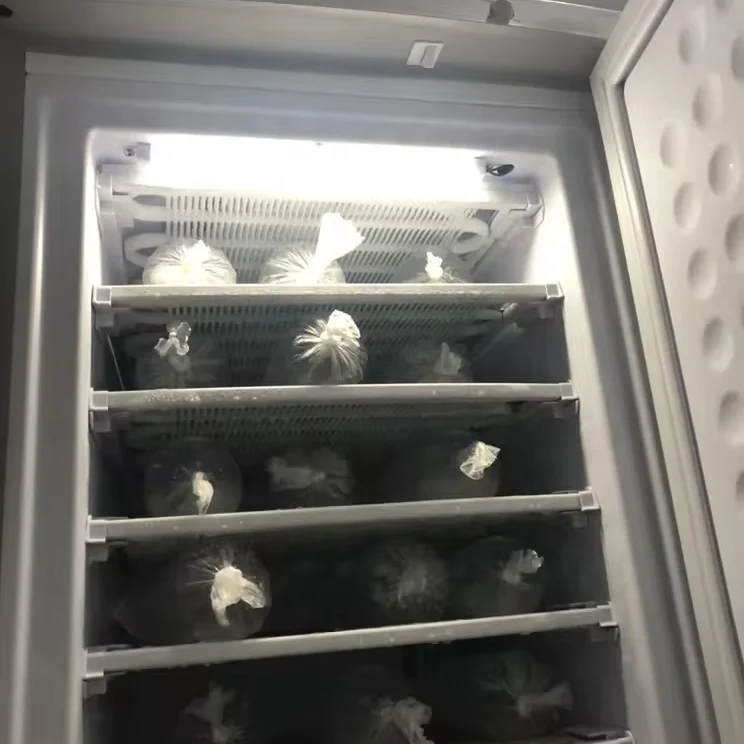 6.99 cube feet Solar Powered Energy Upright Ice Maker ice cube machine 24V Freezer