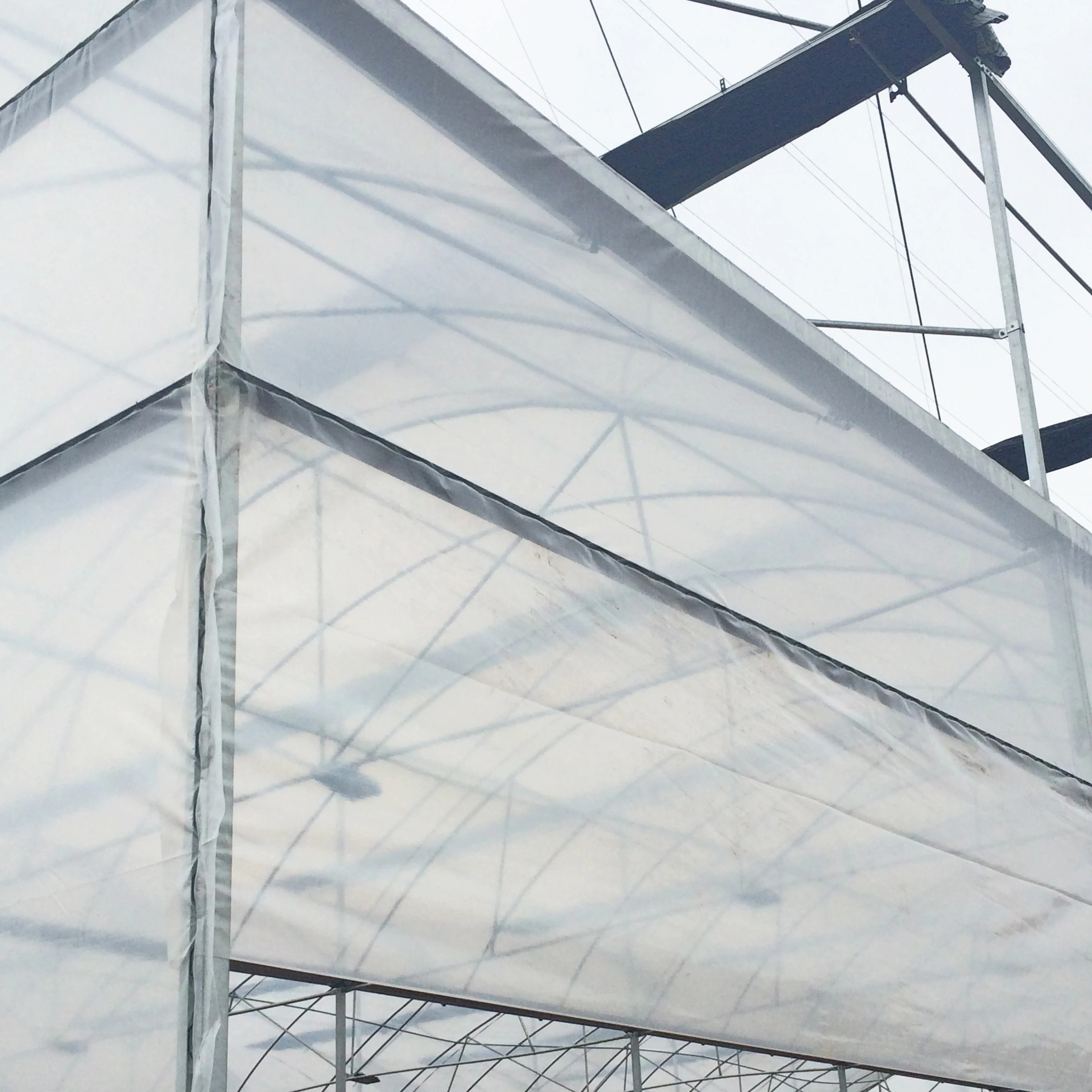 Maxpower Anti Fog Brand New 6mil/8mil Plastic Film Greenhouse Cover