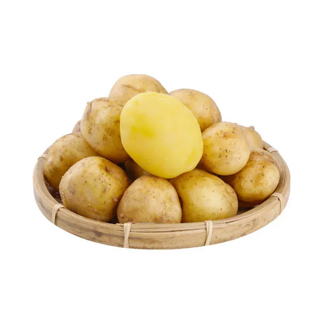 New Crop Holland Potato Seed/ Potato Wholesale Buyers/ Yellow Fresh Potato Prices