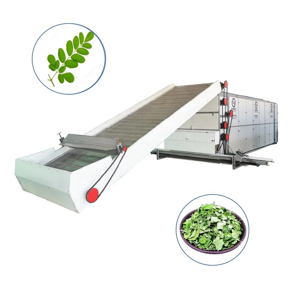 Moringa Leaf Dryer Mesh Belt Dryer Moringa Leaves Drying Machine