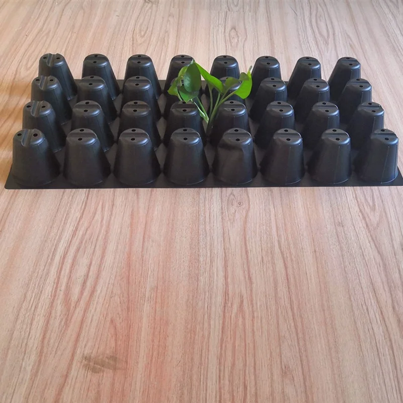 12 20 32 50 60 72  128 200 288 Cells PS Plastic Seed Starting Grow Germination Tray for Greenhouse Vegetables Nursery