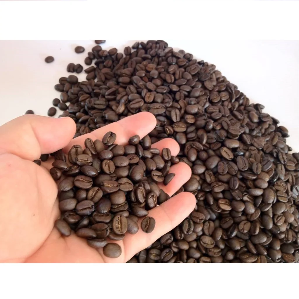 Robusta coffee beans Roasted Coffee Bean Vietnam - WHATSAP 0084989322607