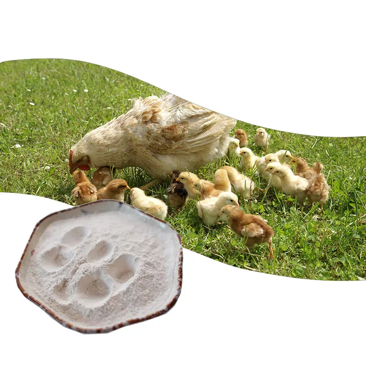 Chinese suppliers feed grade additives clostridium butyric acid fish probiotics