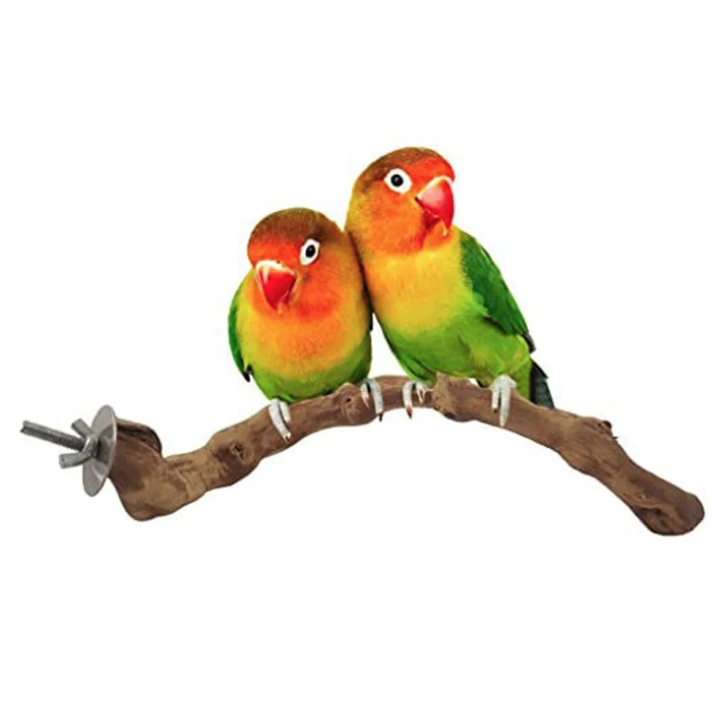 Top Selling Multicolored Wooden Blocks Flying Pet Bird Chew Toy for Angry Bird Toy Parrot Parts