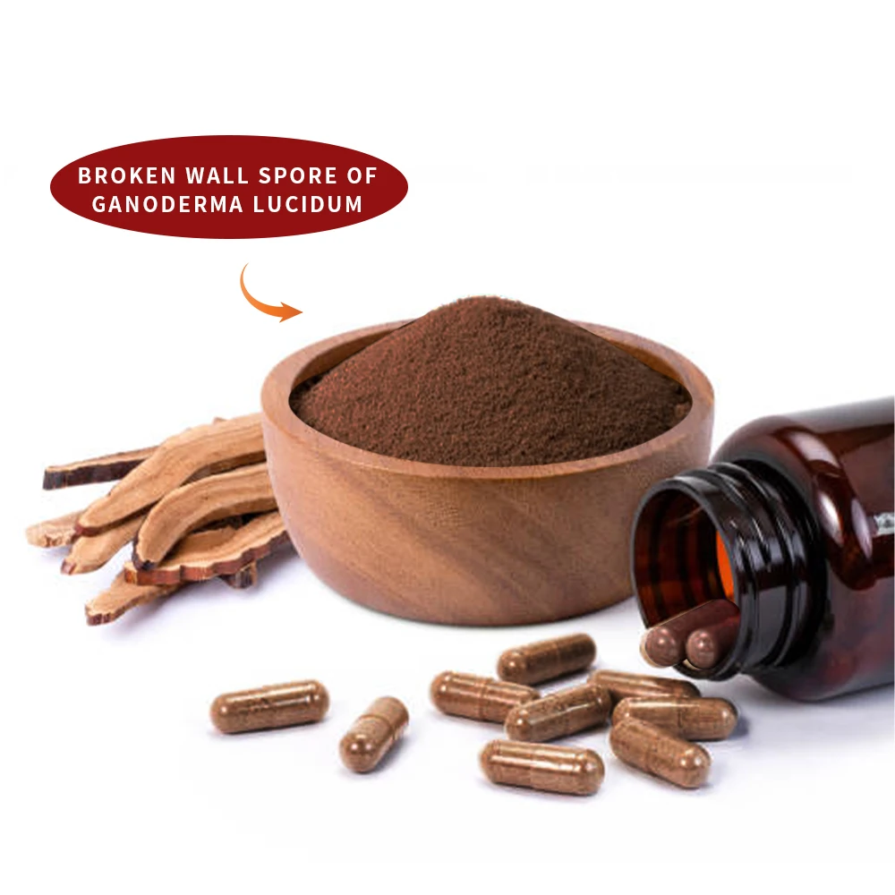 Reishi shell-broken spore Extract ganoderma lucidum wall-broken spore powder capsules 100%pure healthy supplement