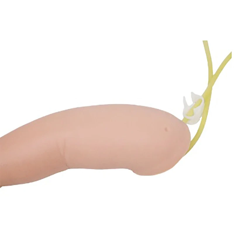 DARHMMY Advanced PVC Infant Arterial Puncture Training Arm Model for Medical Science for Schools and Hospitals