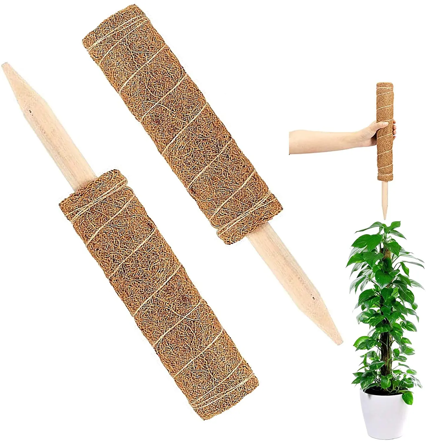 (15.7inch/40cm) Moss poles coco coir(15.7inch/60cm),sphagnum moss pole gardening planting for indoor flower pots