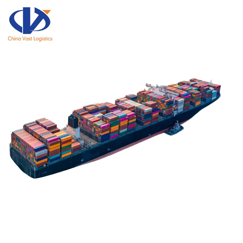 Xiamen China International Freight Forwarder to Montreal Canada Ocean Container Service FCL Shipping Agent