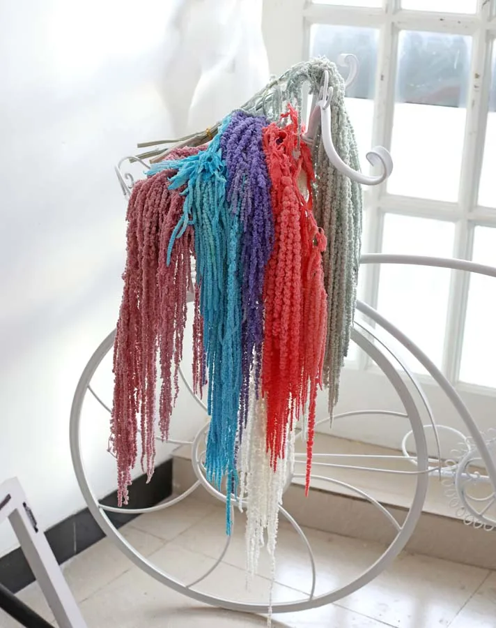 High quality Natural Dried Amaranth Preserved Hanging Amaranthus For Wedding Decoration