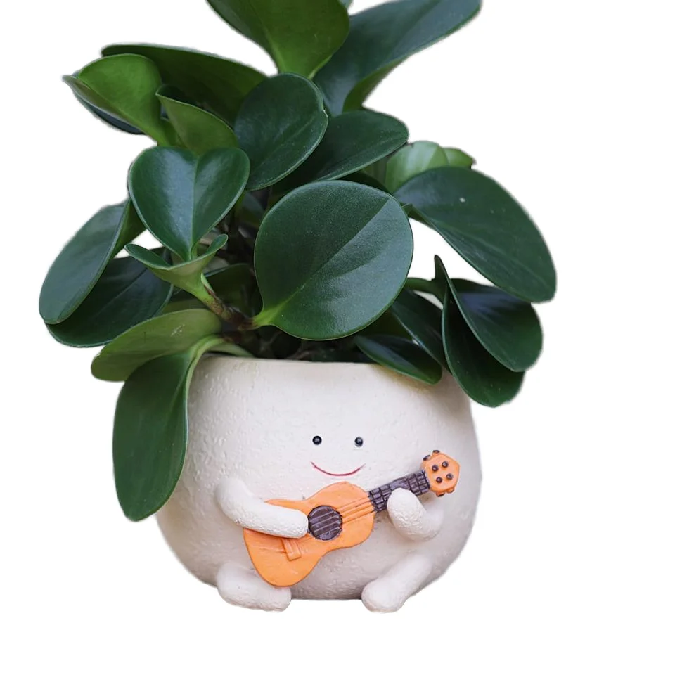 Smily Face Planter Pot with Drainage Hole Cute Resin Head Planters Guitar Succulent Pots for Indoor Outdoor Plants Gift IdeaI