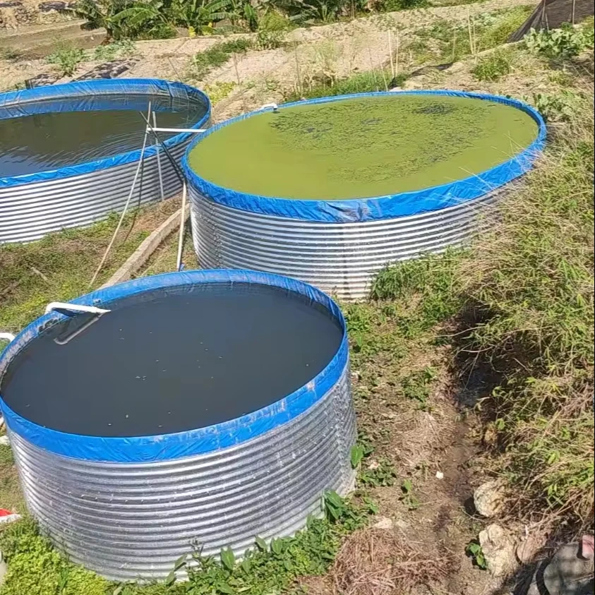 Большие складные резервуары из ПВХ для рыбной и креветки RAS Tilapia, сельскохозяйственное рыболовство, оборудование для аквакультуры