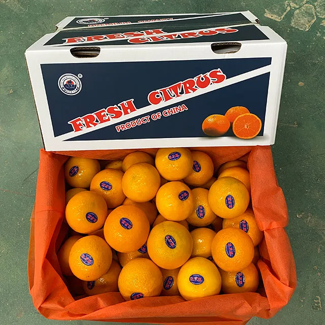 New season fresh honey murcott mandarin