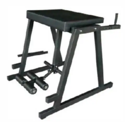 Door To Door Delivery Cheaper Hot Sales Leg Extension Machine Reverse Hyper