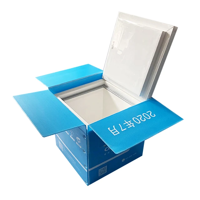 High Technology Hot Sell Cold Chain Logistics Lock Cold Chain Logistics Cold Chain Logistic Bag