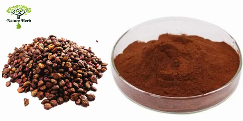 grape seed extract7.jpg